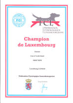 Luxembourger Champion