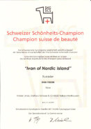 Schweizer Champion